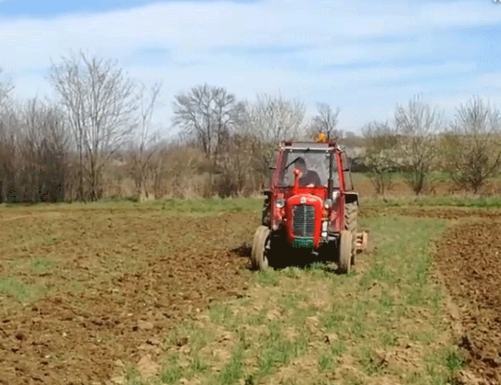 Foto:printscreen/youtube