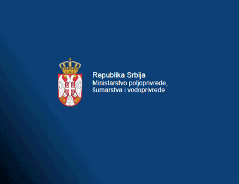 Foto:Printscreen/yutube