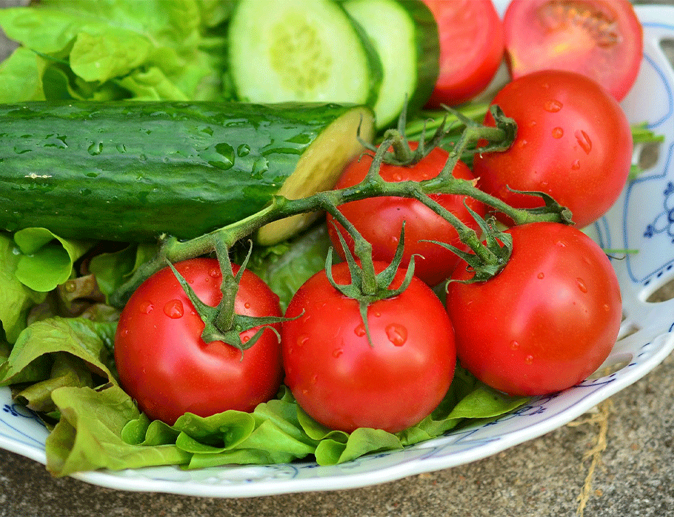 krastavac-i-paradajz