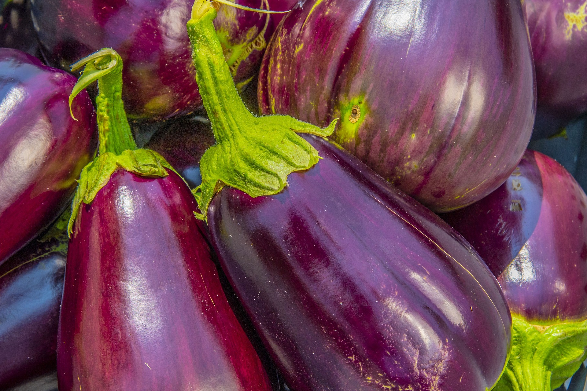eggplant-3712005_1920