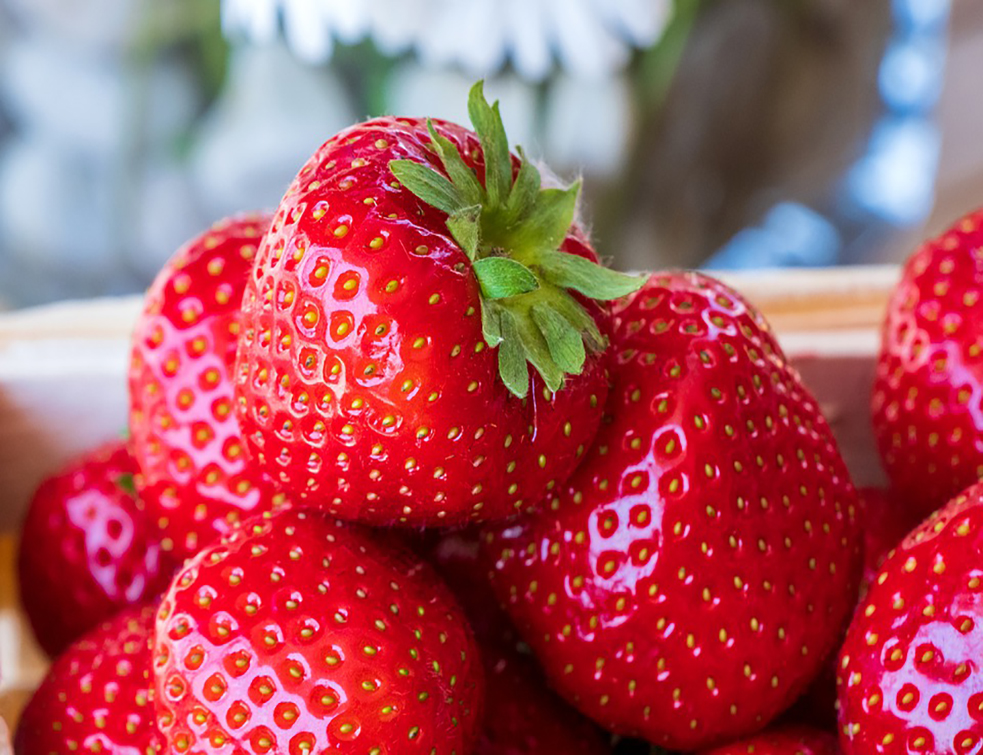 strawberries-4255932_960_720