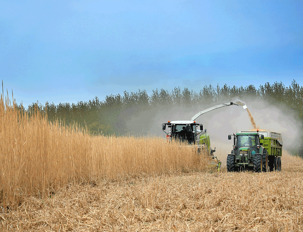 ruralni-razvoj