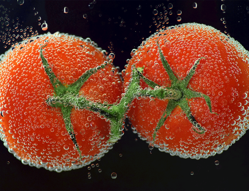 crveni-paradajz