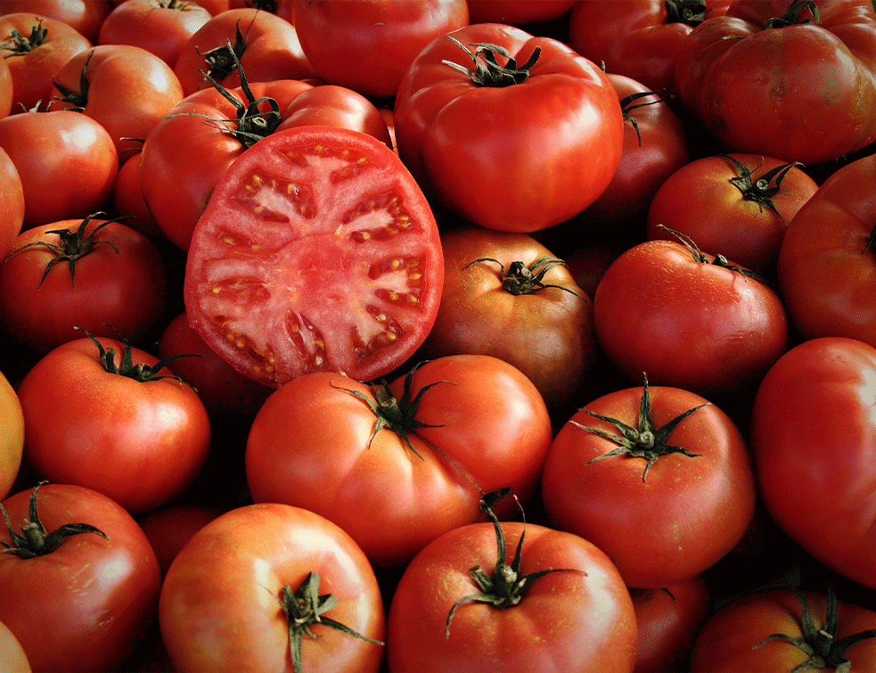 paradajzzPX