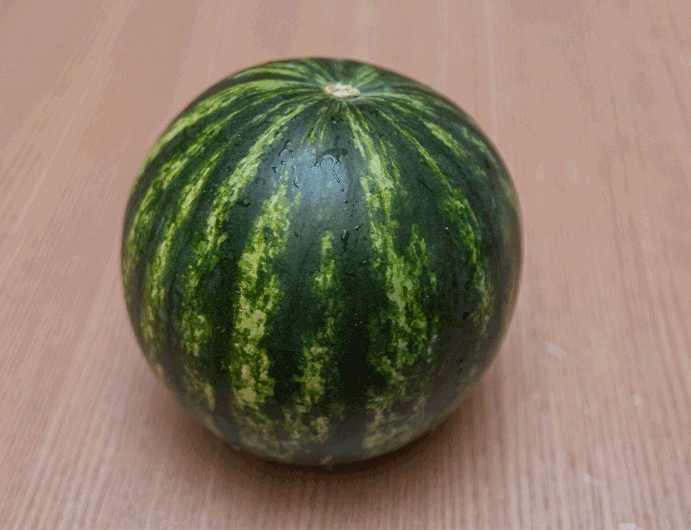 lubenica1