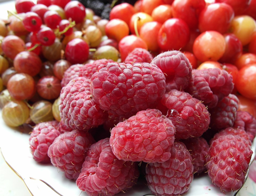 fruit-3481290_960_720