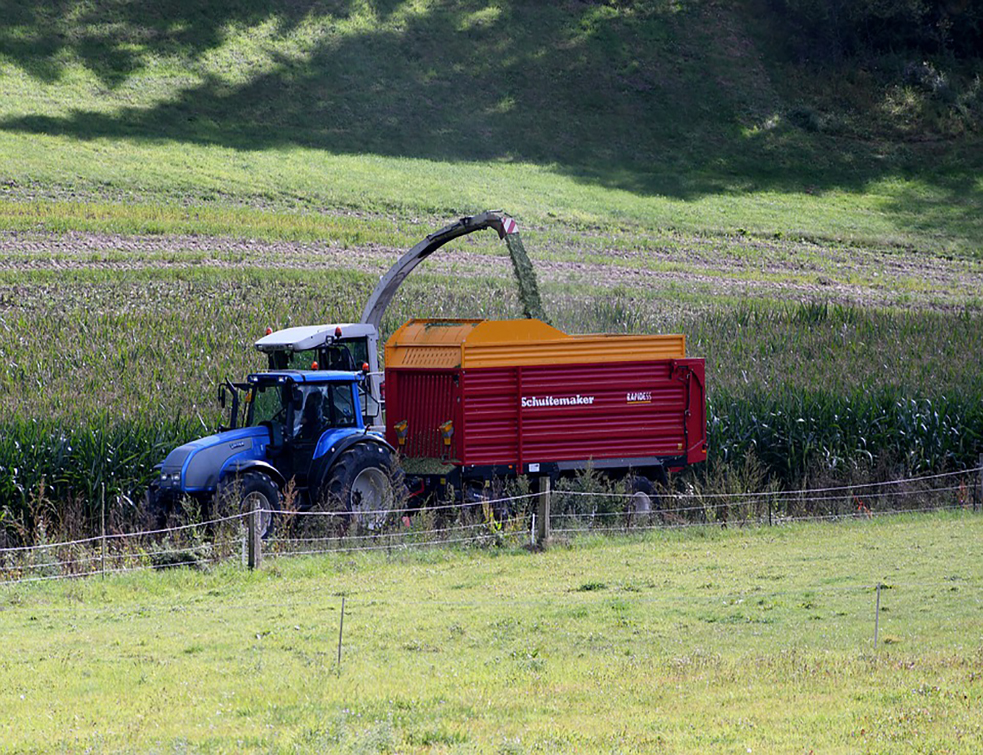 harvest-4473304_960_720