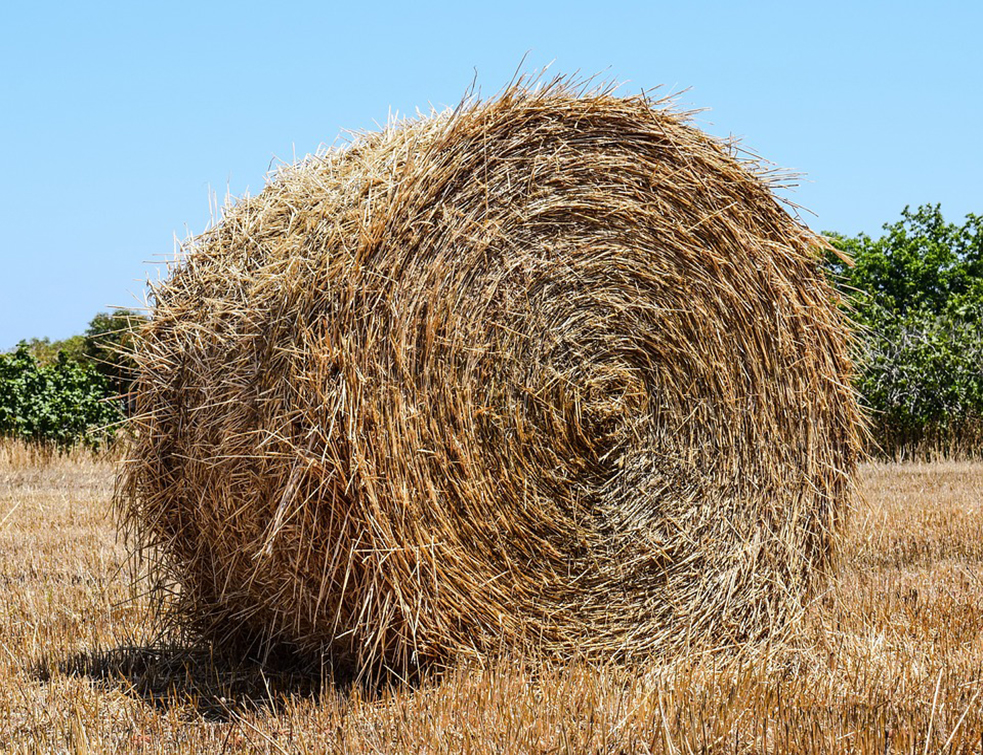 hay-bale-2354967_960_720