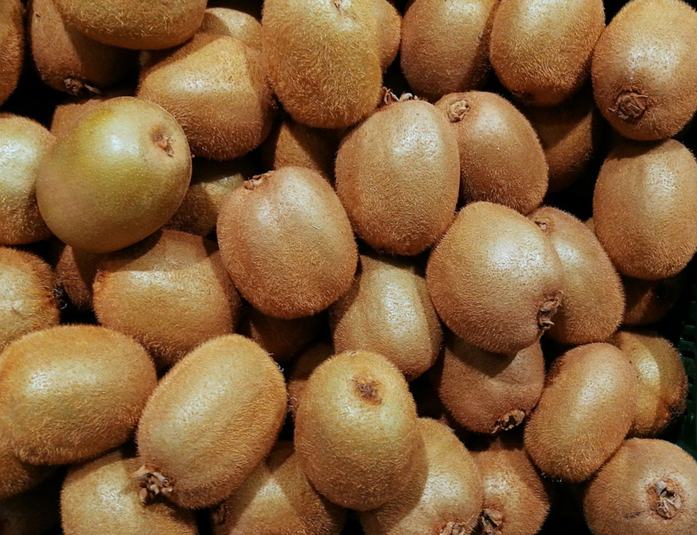 kiwi-4785908_960_720