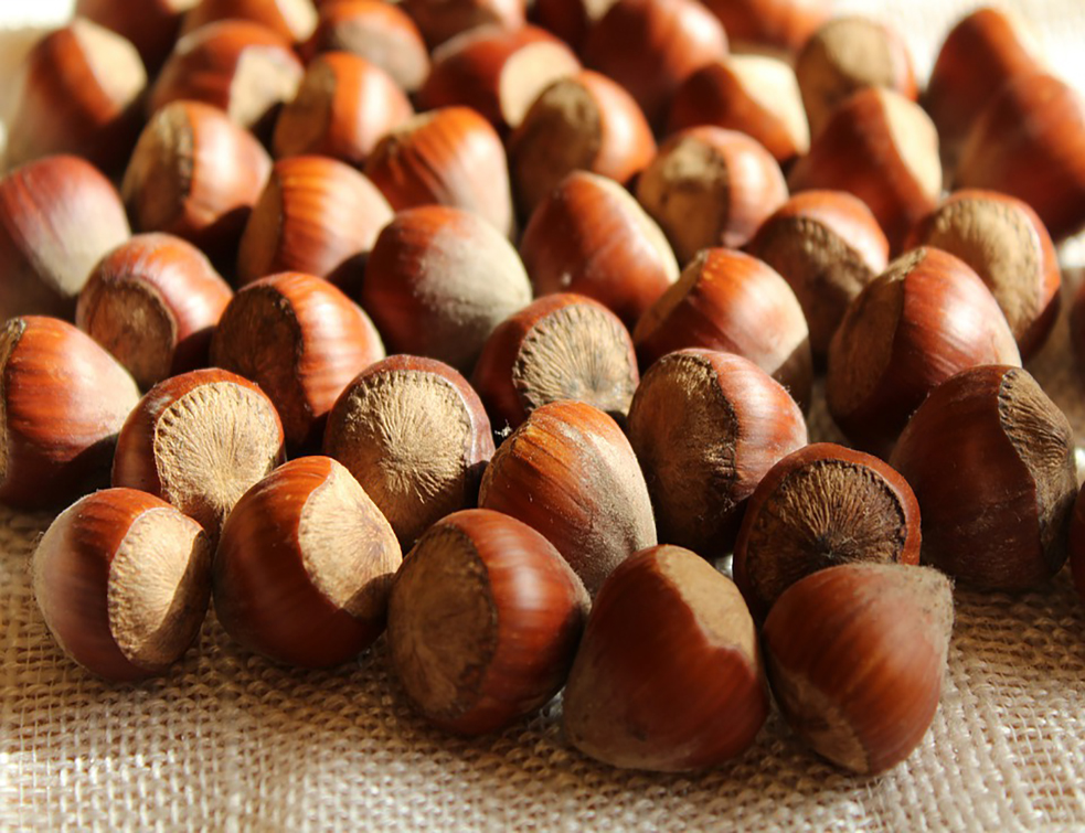 nuts-4542581_960_720