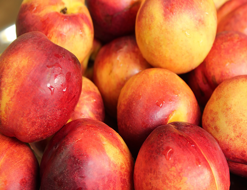 nectarines-4534241_960_720