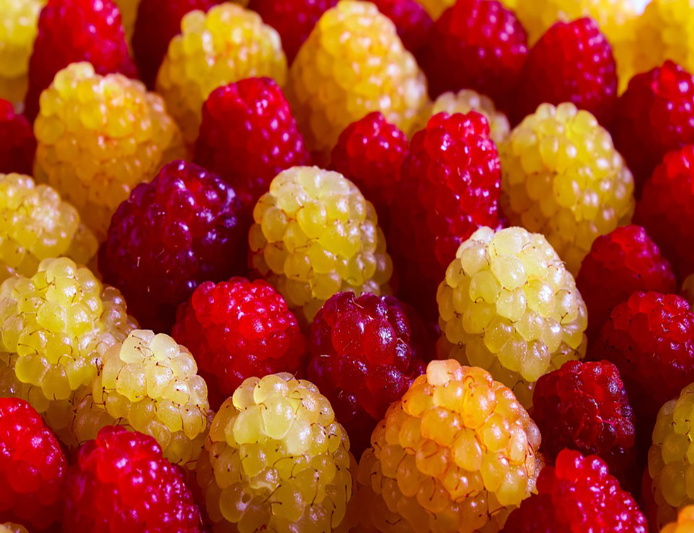 raspberry-4370986_960_720