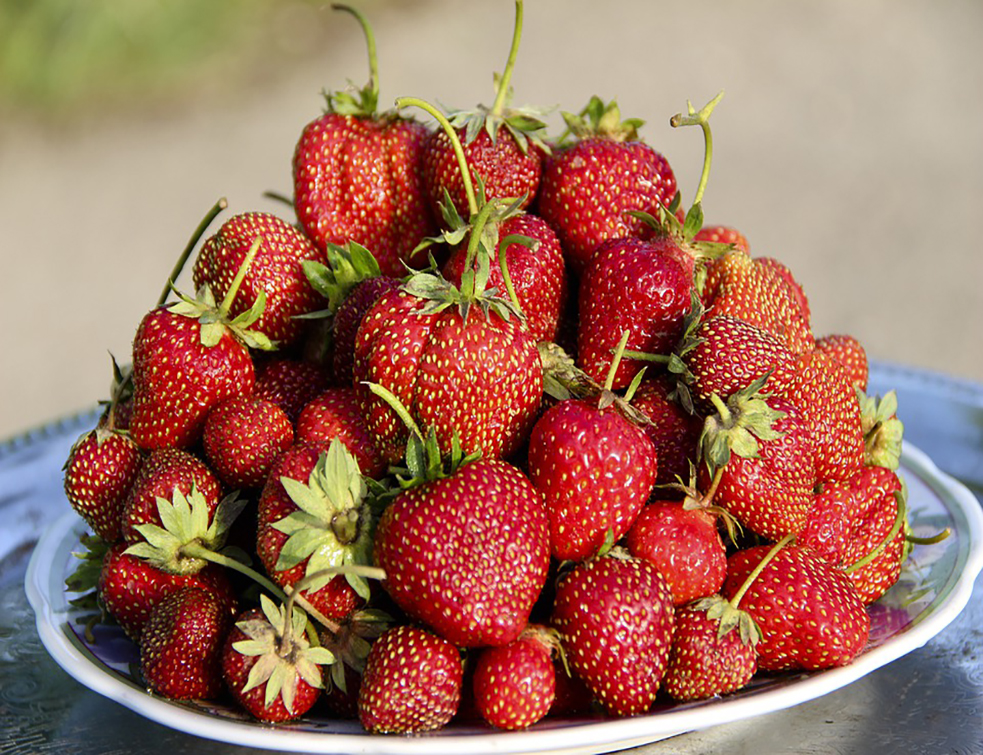 strawberry-4243045_960_720