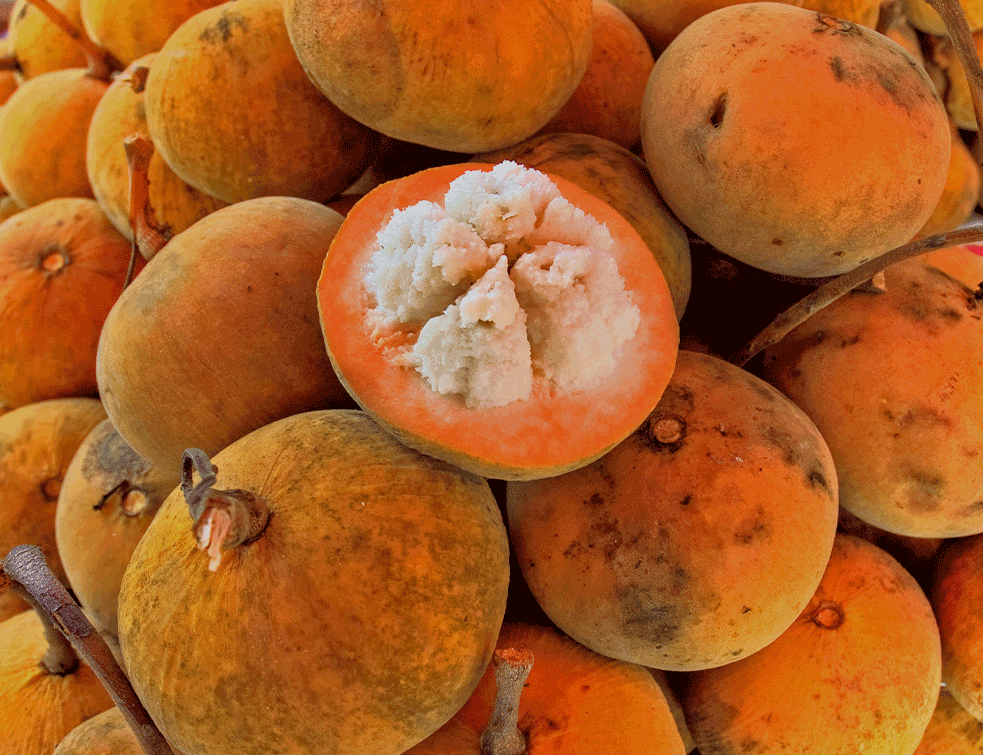 santol