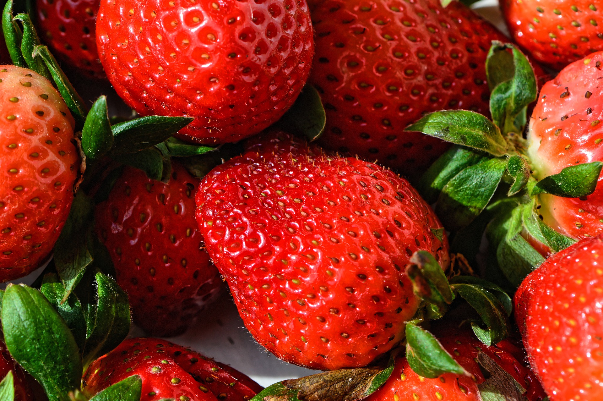 strawberries-4397106_1920