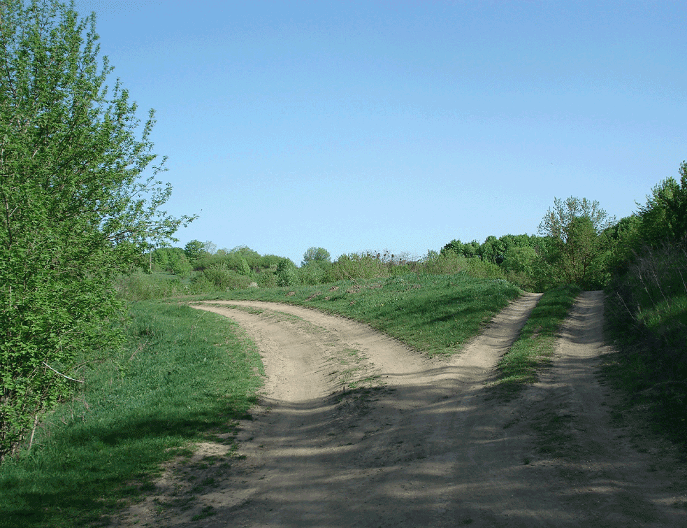RURALNII