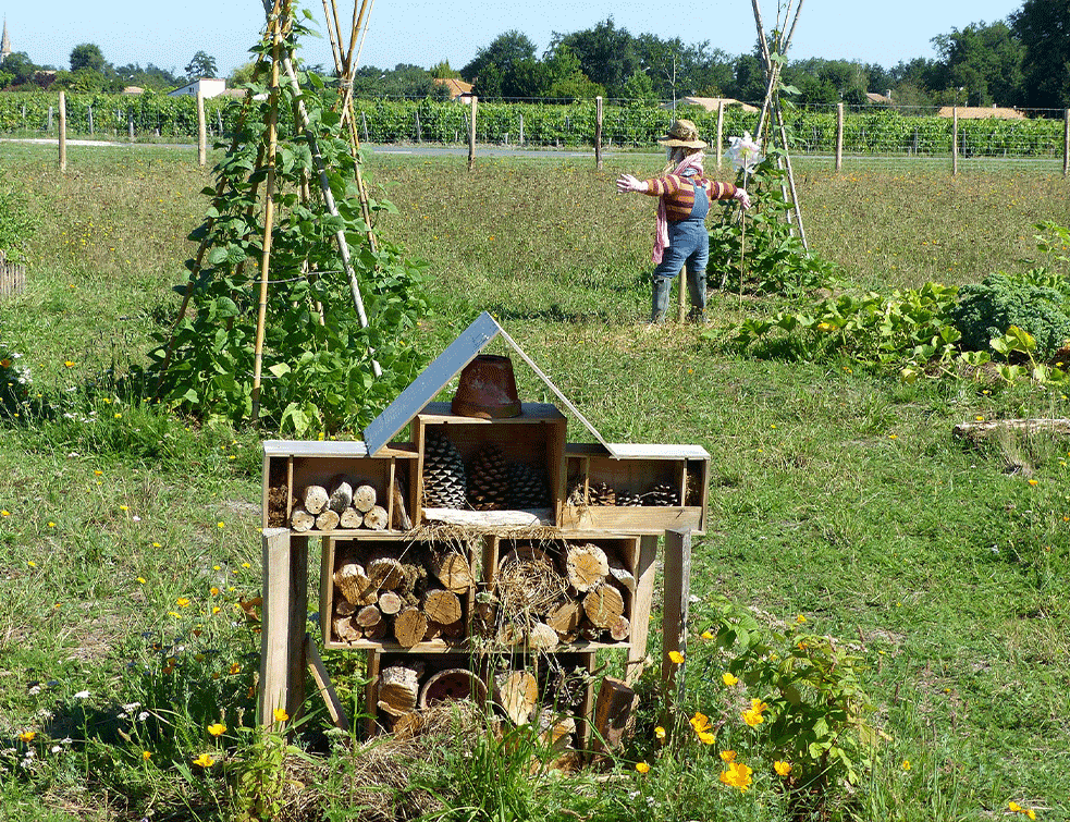 PERMACULTURE