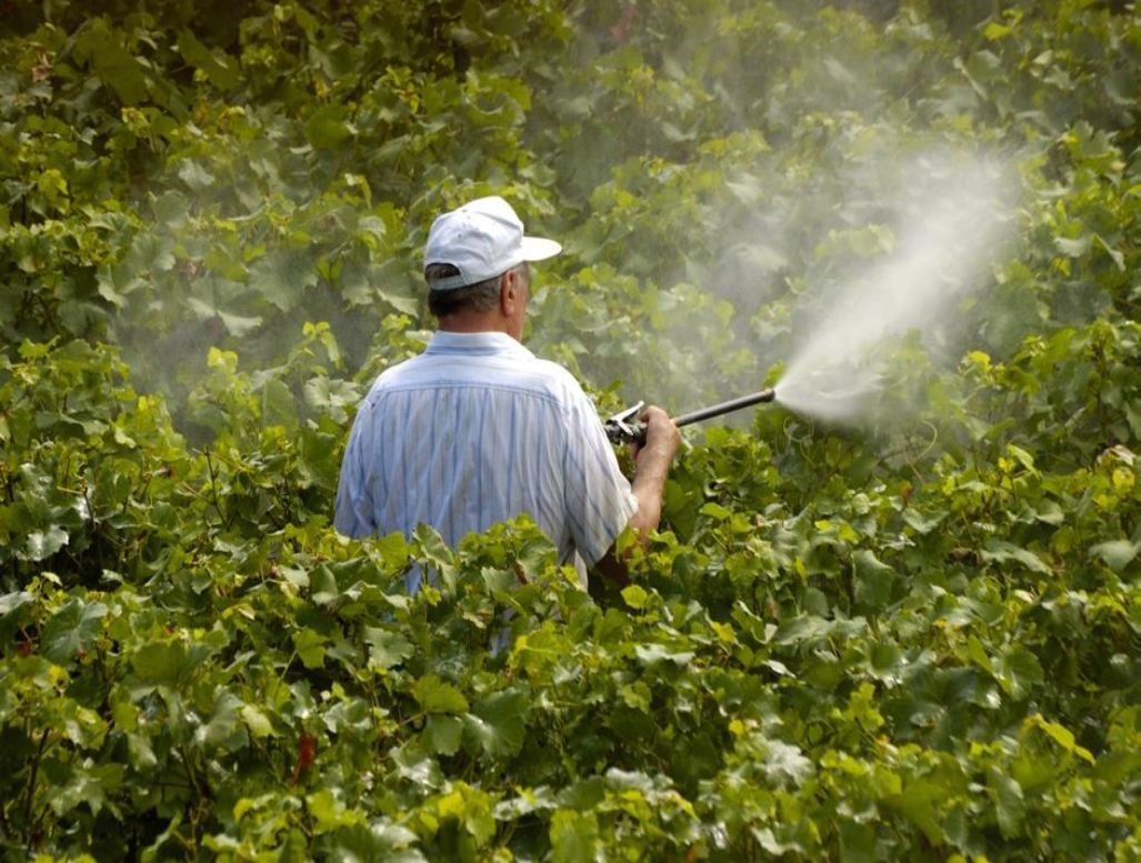 pesticide