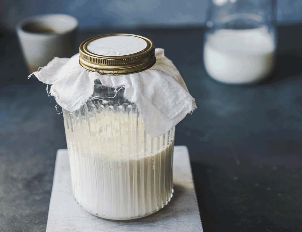 kefir