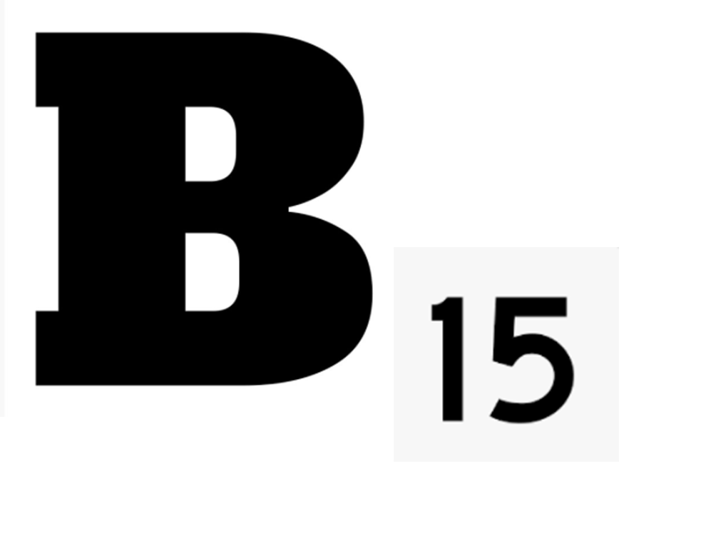 B15