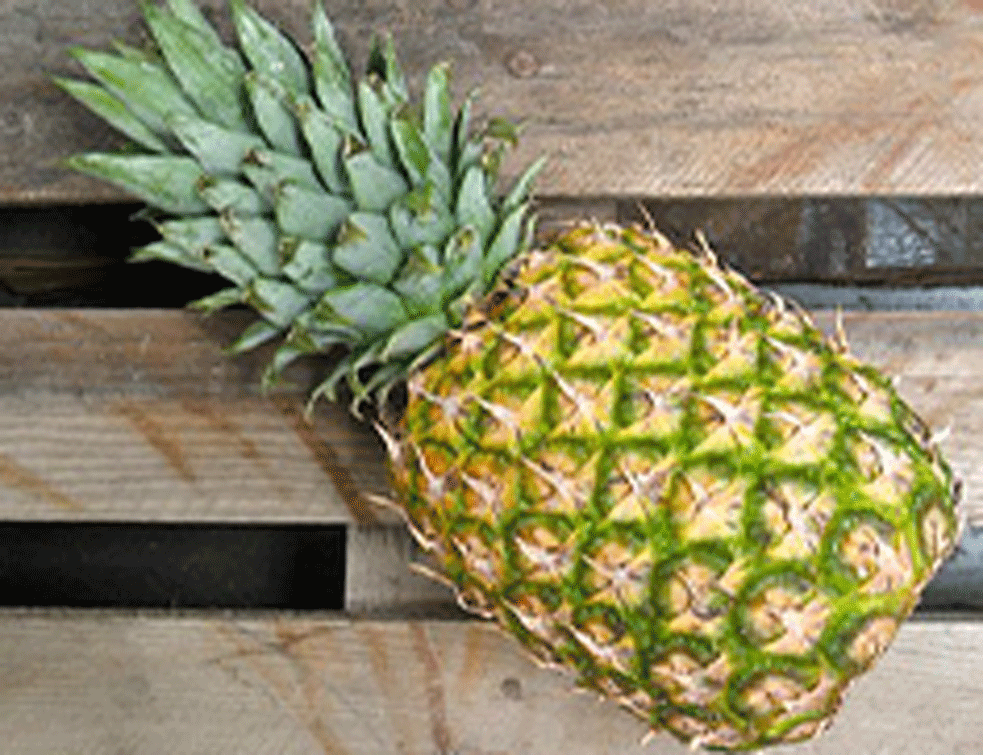 ananas