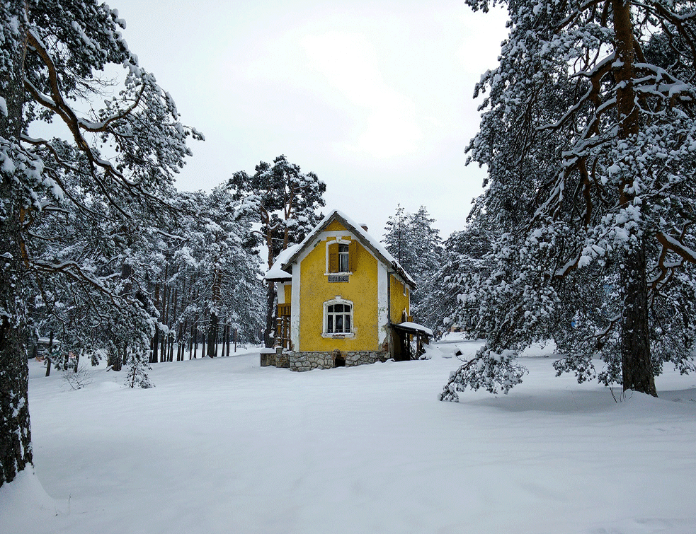 ZLATIBOR