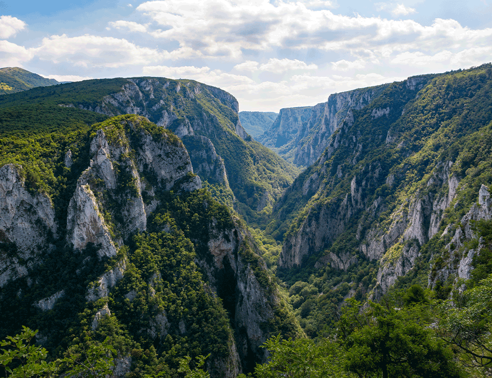 Foto: Wikipedia/Milos.golubovic