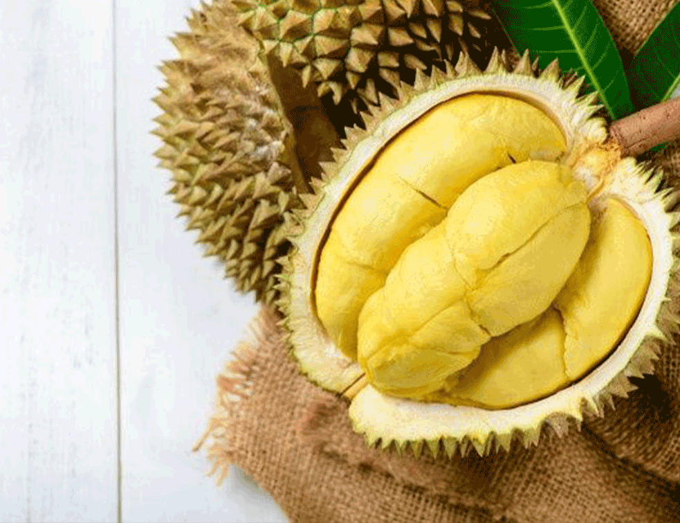 Durian.png