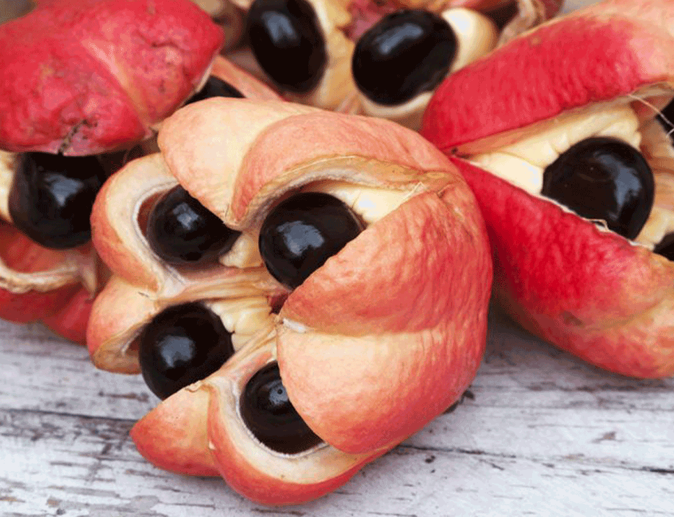ackee.png