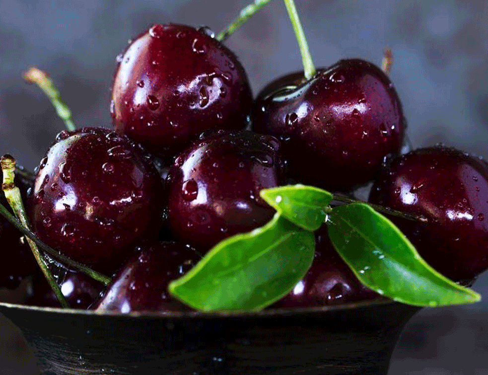 Foto:pixabay
