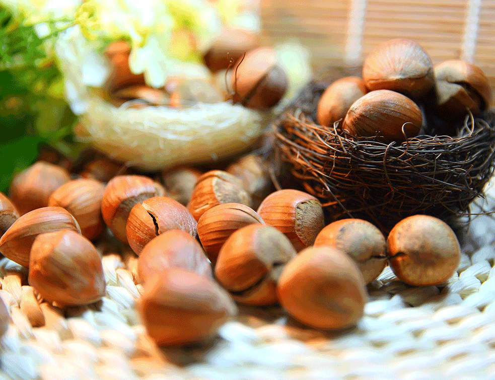 Foto:pixabay