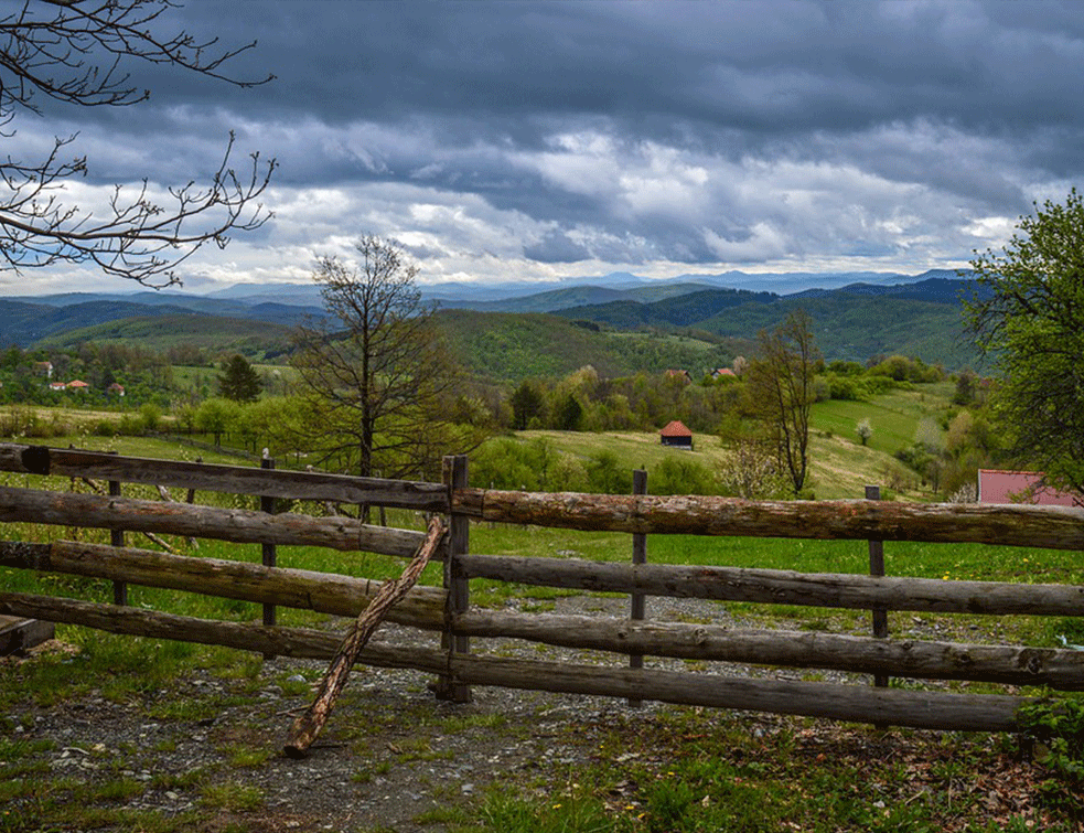 Foto:pixabay